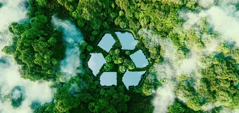 A może chcesz wymienić swój obecny czyścik na nowy za połowę ceny? Dowiedz się, jak to zrobić!