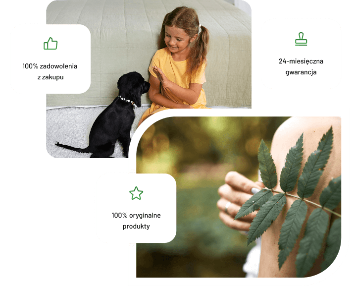 Bezpośredni dystrybutor Raypath